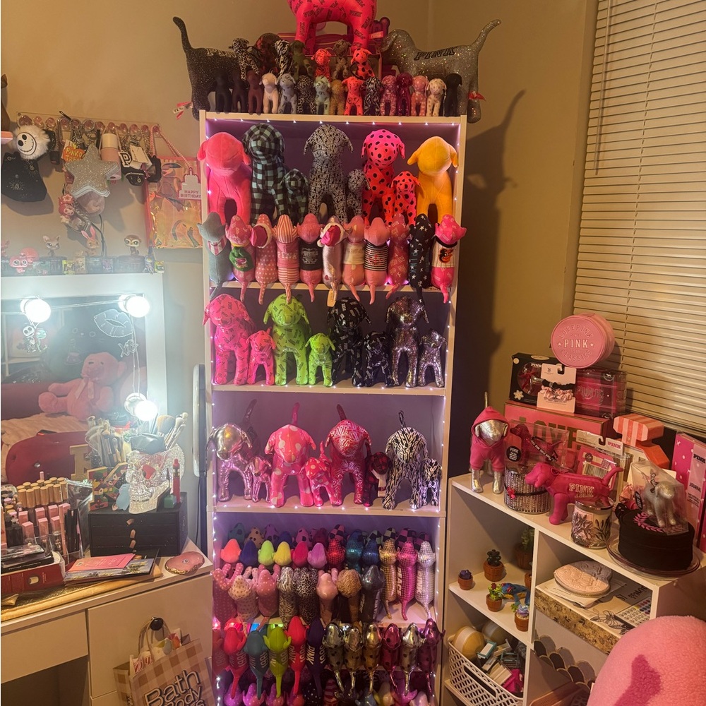 VS/PINK Dog Collection ! 🐶🤍